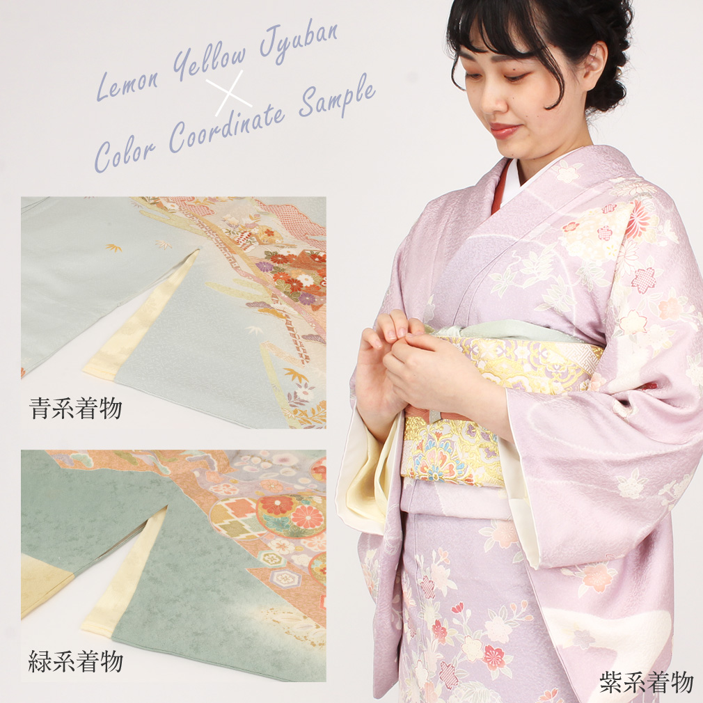 長襦袢 洗える 夏用 冬用 S M L 大きいサイズ 小さいサイズ 白 ピンク ベージュ 黄色 青 グレー 緑 留袖 訪問着 付け下げ 色無地 小紋 紬 綿 ポリエステル 楊柳ちりめん 一部式 半襟付き 衣紋抜き付き 胴抜き 安い