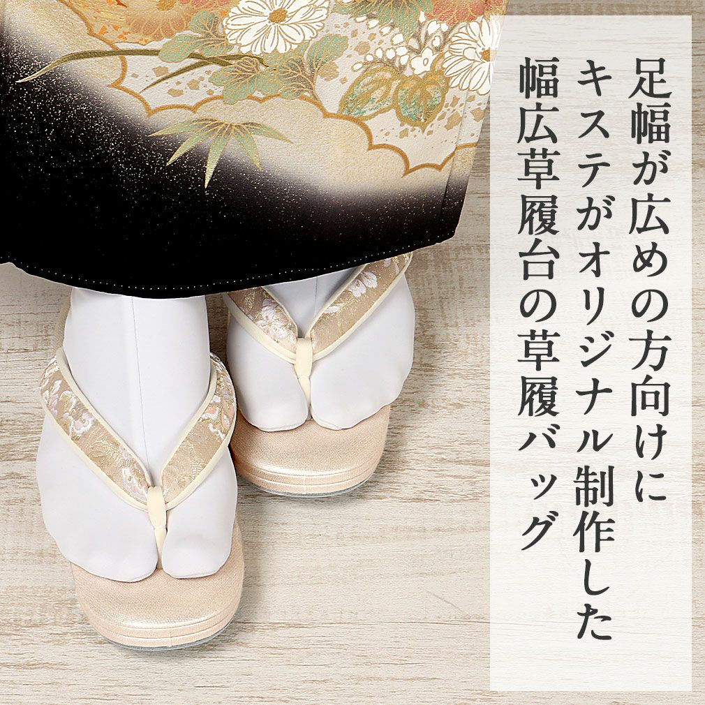 黒留袖 草履 バッグセット Lサイズ LLサイズ 大きめ 唐花 華紋 白梅