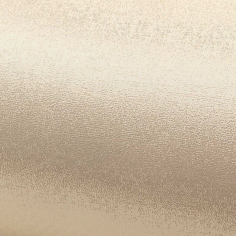 岩佐草履バッグセット