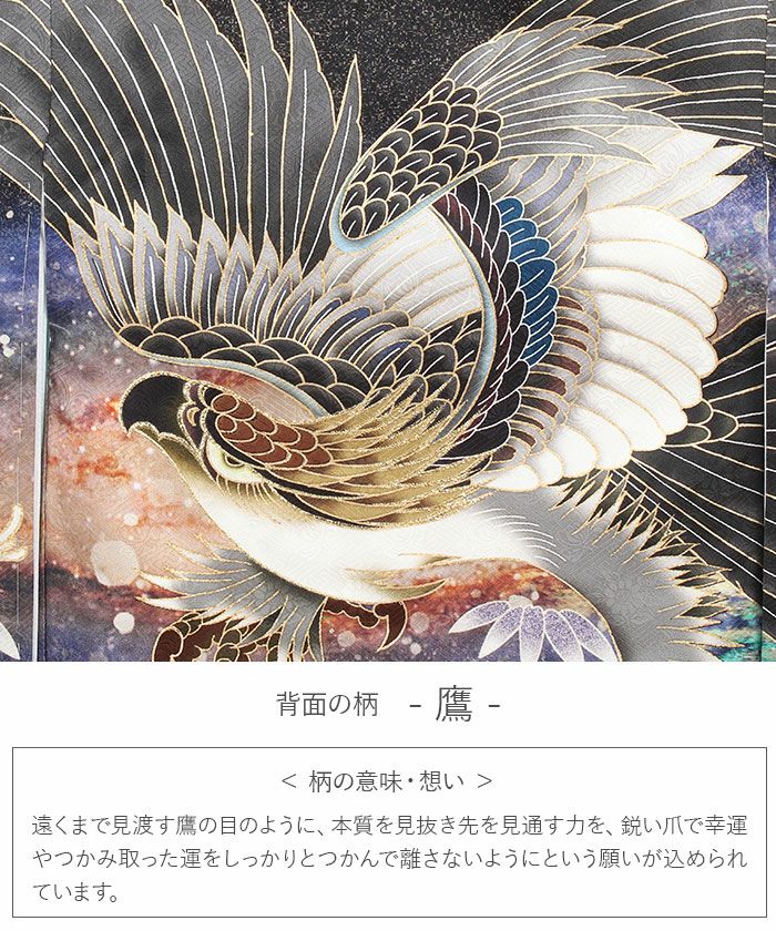 お宮参り 着物 男の子 産着 祝い着 濃紺 青 茶 鷹 銀河 軍配 小槌