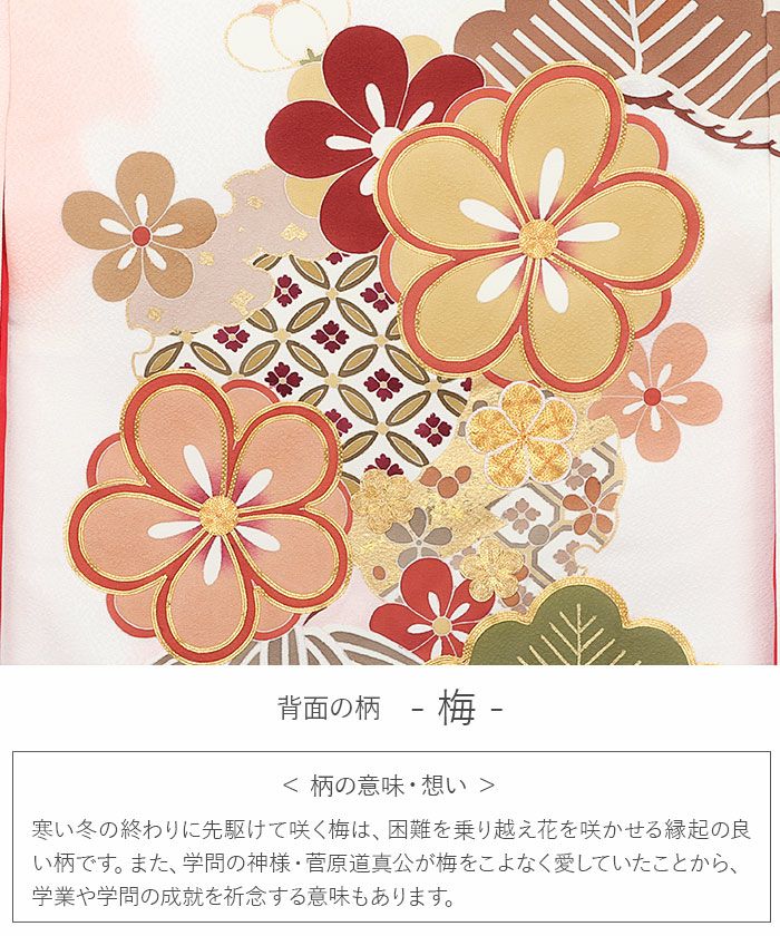 お宮参り 着物 女の子 産着 祝い着 白 ピンク 松竹梅 七宝 毘沙門亀甲