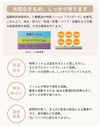 和小物プロガード3枚入り保存袋収納袋ベージュ防虫防カビ防水防臭防水効果高密着チャックメール便対応可レディースきもの用着物用和装用和装通販購入留袖訪問着振袖着付け小物和装和装小物