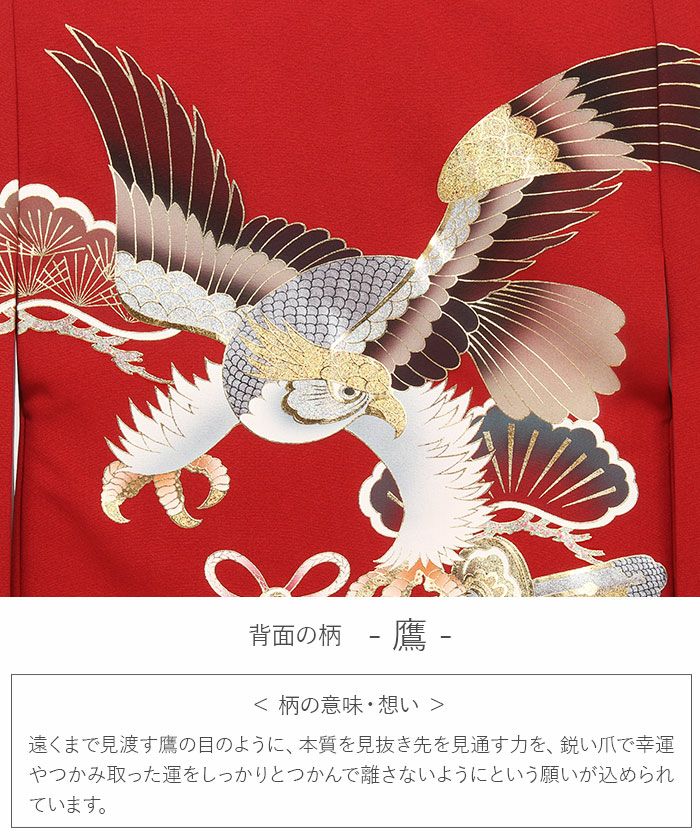 お宮参り 着物 男の子 産着 祝い着 赤 金 水色 鷹 富士山 吉祥紋 正絹