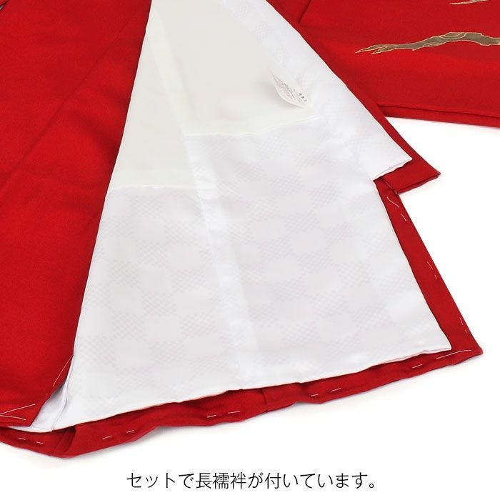 お宮参り 着物 男の子 産着 祝い着 赤 金 水色 鷹 富士山 吉祥紋 正絹