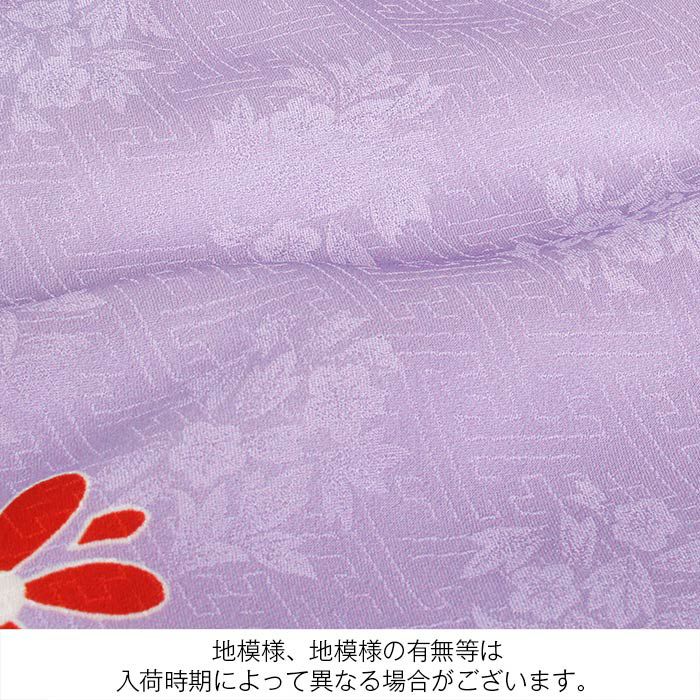 お宮参り 着物 女の子 産着 祝い着 紫 菊 松 松唐草 亀甲花紋 宝づくし