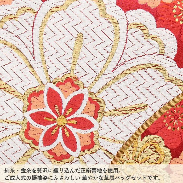 和装用バッグと草履（フリーサイズ）セット 赤黒花柄日本製 草履バッグセット フリーサイズ 黒×赤 梅刺繍 日本製 振袖 - きもの館