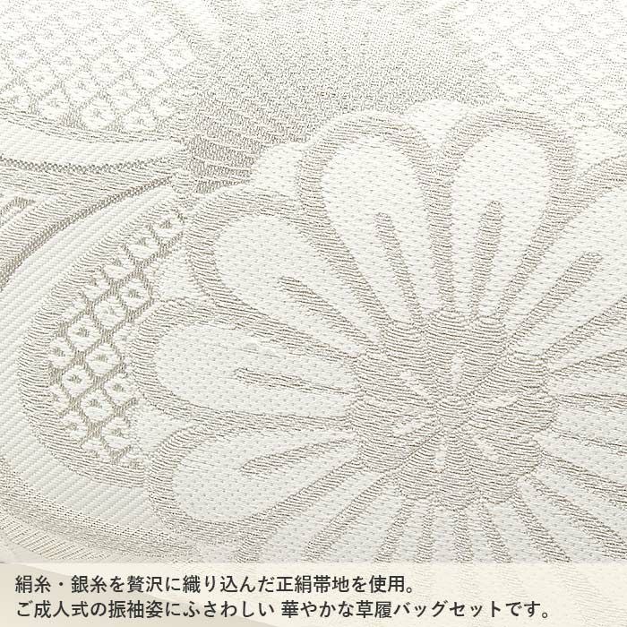 草履バッグセット 成人式 振袖用 卒業袴 訪問着 付下げ 成人用 LL