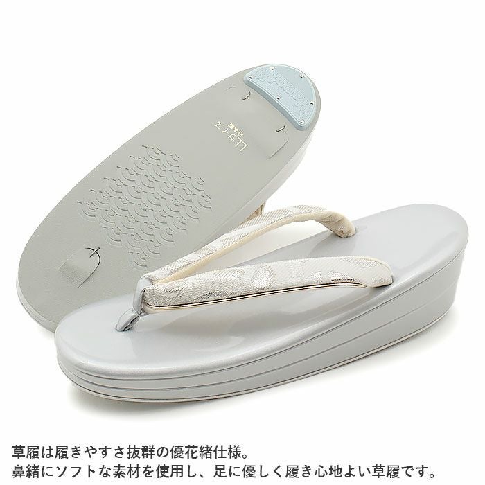 草履バッグセット 成人式 振袖用 卒業袴 訪問着 付下げ 成人用 LL