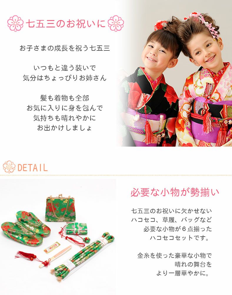 七五三 はこせこ 6点セット 草履サイズ 21cm 女の子 はこせこ