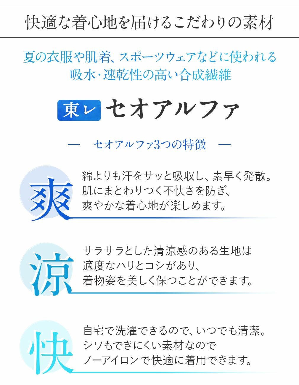 着物 洗える 単衣 セオアルファ 夏着物 裄丈66 裄丈68 薄物 セオα 日本