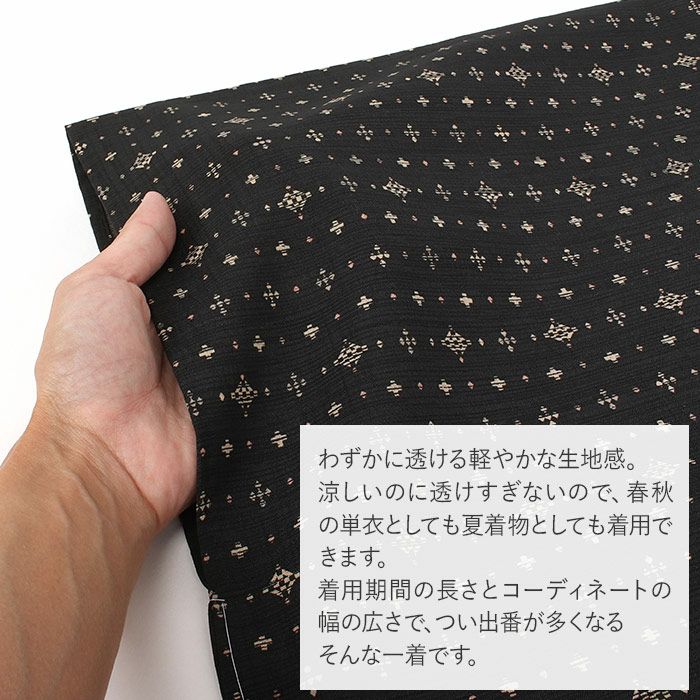 着物 洗える 単衣 セオアルファ 夏着物 裄丈66 裄丈68 薄物 セオα 日本