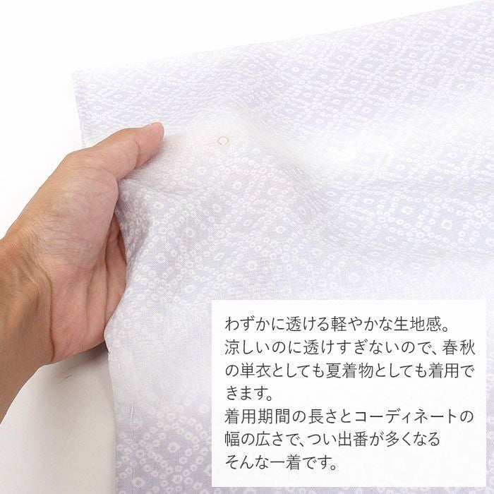 着物 洗える 単衣 セオアルファ 夏着物 裄丈66 裄丈68 薄物 セオα 日本