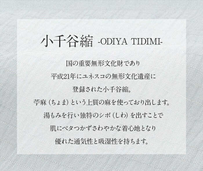 草履レディース普段用カジュアル草履夏夏ぞうり夏用彩小径Lサイズ茶ブラウンベージュ白アイボリー3色展開小千谷ちぢみ本麻鼻緒2枚芯刺繍日本製コルク芯涼しげ痛くない歩きやすい女性女性用ぞうり小紋紬色無地御召草履着物草履単品草履だけ