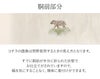 小紋紬色無地御召などのお着物にすぐ使えるお仕立て上がり九寸名古屋帯。春秋冬袷単衣の時期のお着物のお締めいただけます。
